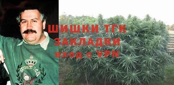 молекула духа Алексин