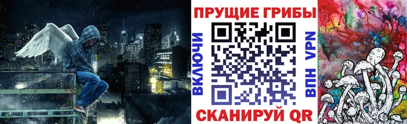 мега вход Волгодонск Галлюциногенные грибы Psilocybe