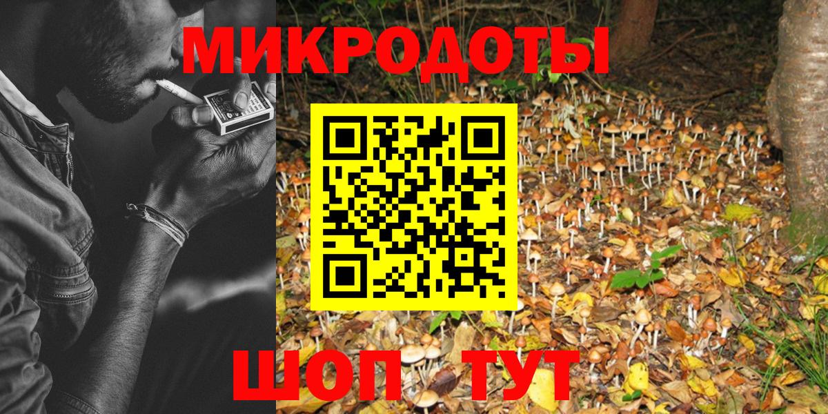 Псилоцибиновые грибы Cubensis Волгодонск