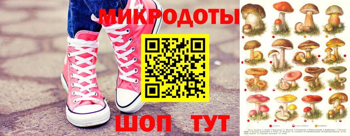 Волгодонск  Галлюциногенные грибы Psilocybine cubensis  Вход с VPN 