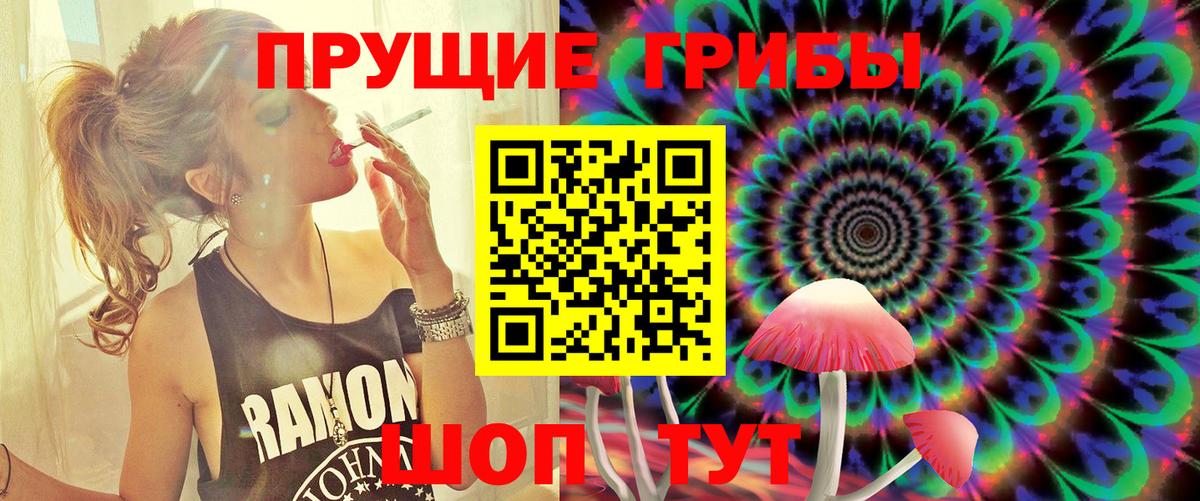Волгодонск  Галлюциногенные грибы Cubensis  Галлюциногенные грибы MAGIC MUSHROOMS  Вход с VPN 