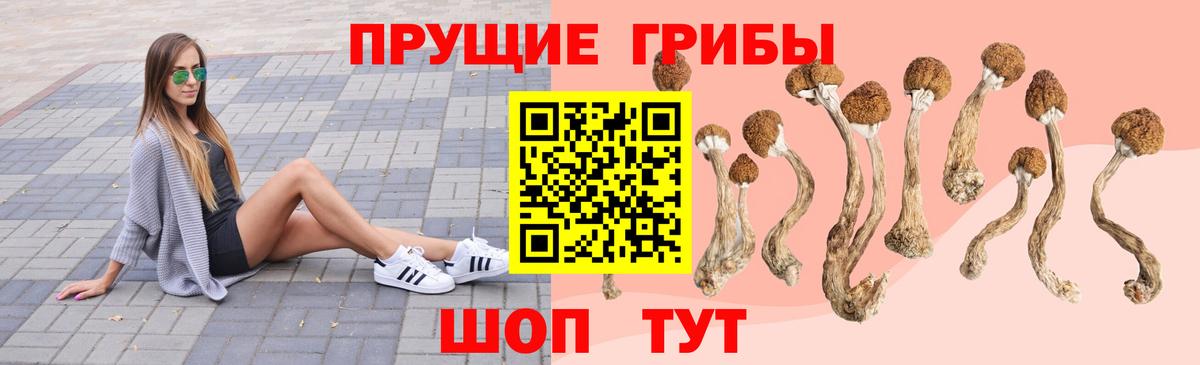 Галлюциногенные грибы ЛСД Волгодонск